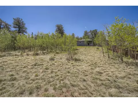 17 Bartimous Rd, Bailey, CO 80421 photo 22