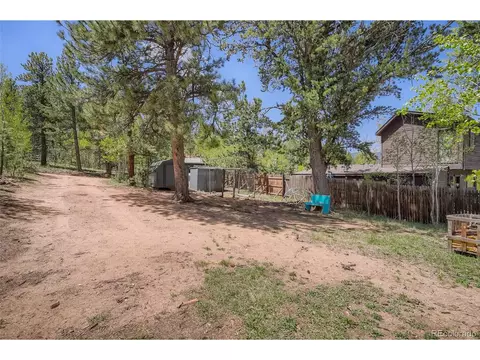 17 Bartimous Rd, Bailey, CO 80421 photo 28