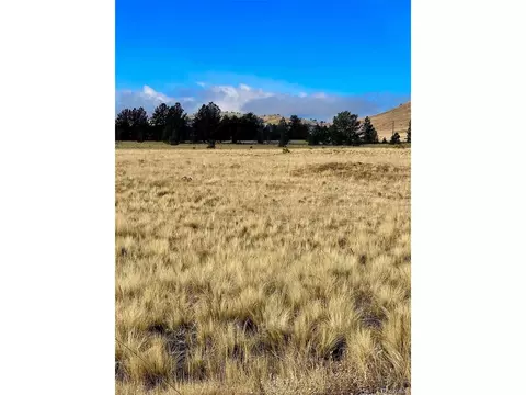 39 View Cir, Guffey, CO 80820 photo 4