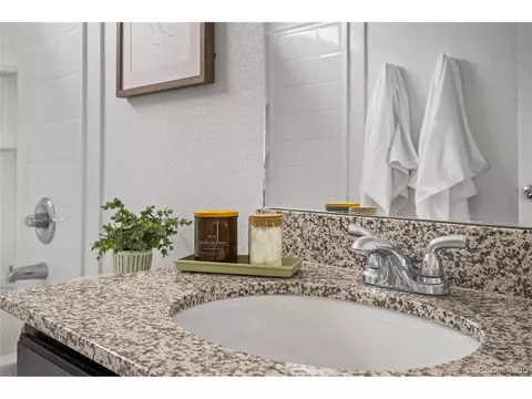 18645 E 54th Pl, Denver, CO 80249 photo 30