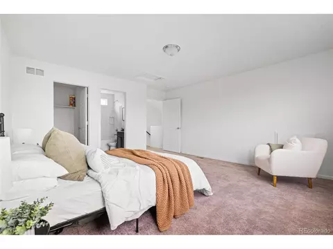 18645 E 54th Pl, Denver, CO 80249 photo 10