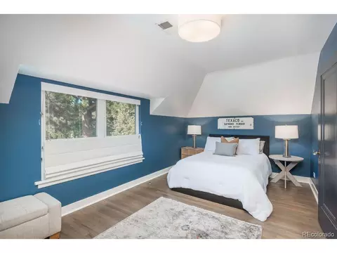 301 Eudora St, Denver, CO 80220 photo 29