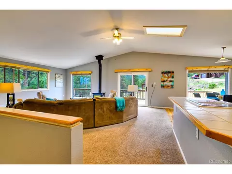 699 Yellow Pine Dr, Bailey, CO 80421 photo 4