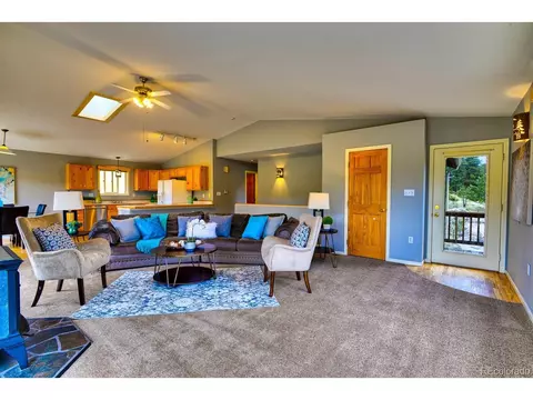 699 Yellow Pine Dr, Bailey, CO 80421 photo 3