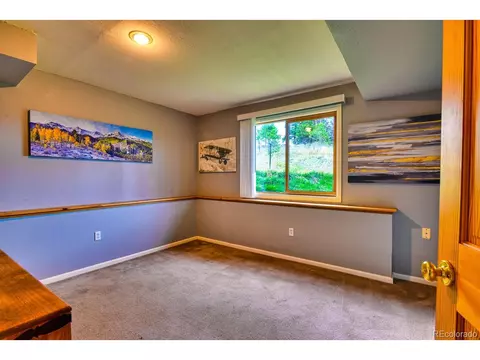 699 Yellow Pine Dr, Bailey, CO 80421 photo 17