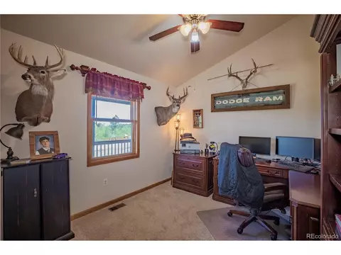 81 Aspen Ln, Bailey, CO 80421 photo 11