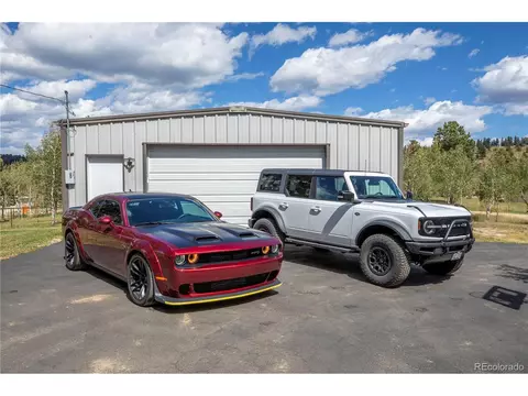 81 Aspen Ln, Bailey, CO 80421 photo 3