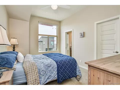 7979 E 54th Pl, Denver, CO 80238 photo 15