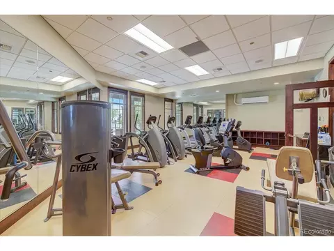 8523 E 149th Dr, Thornton, CO 80602 photo 31