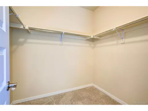 5510 Clarence Dr, Windsor, CO 80550 photo 16