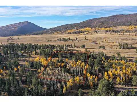 2244 Singletree Rd, Hartsel, CO 80449