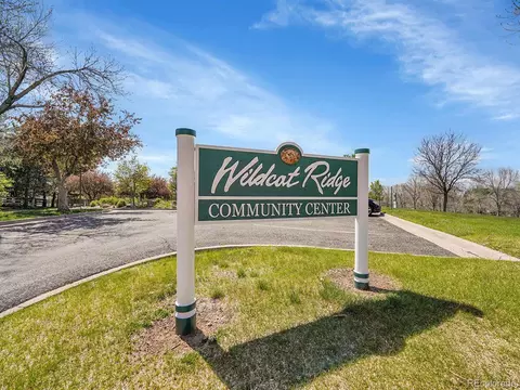 10388 Lions Path, Lone Tree, CO 80124 photo 42