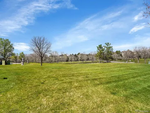 10388 Lions Path, Lone Tree, CO 80124 photo 43