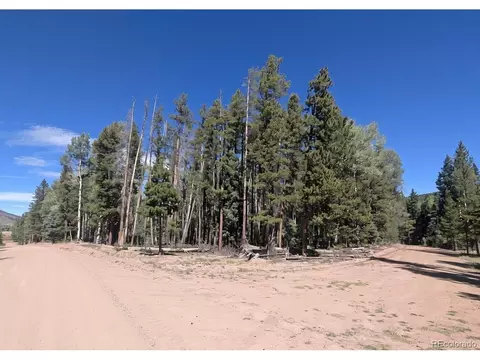 2895 Henderson Dr, Fort Garland, CO 81133