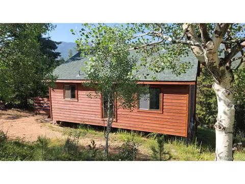 14 Lanier St, Bailey, CO 80421 photo 3