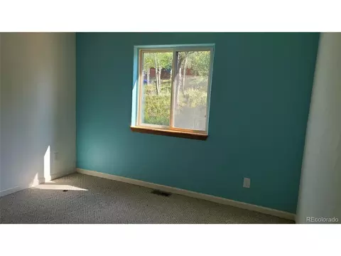 14 Lanier St, Bailey, CO 80421 photo 12