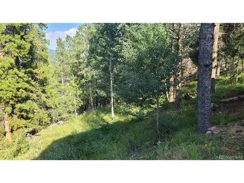 14 Lanier St, Bailey, CO 80421 photo 25