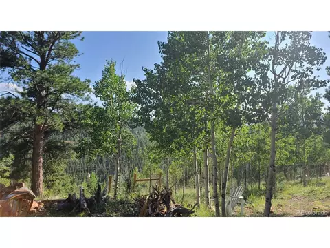 14 Lanier St, Bailey, CO 80421 photo 6
