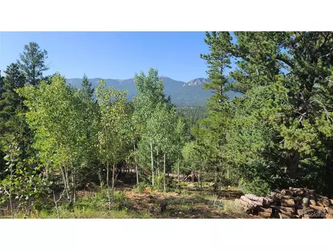 14 Lanier St, Bailey, CO 80421 photo 4