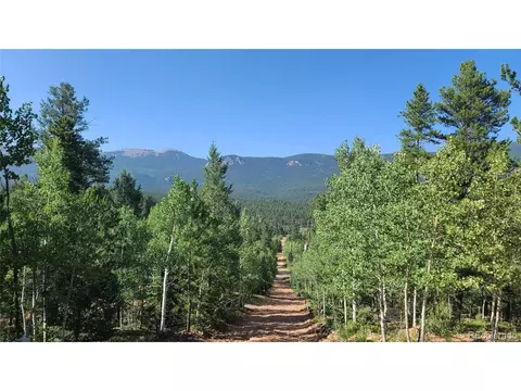 14 Lanier St, Bailey, CO 80421 photo 5
