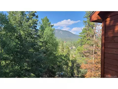 14 Lanier St, Bailey, CO 80421 photo 26