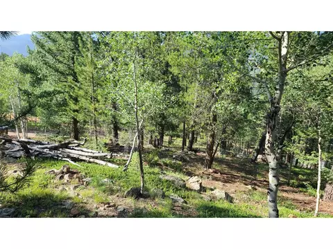 14 Lanier St, Bailey, CO 80421 photo 29