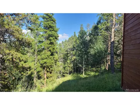 14 Lanier St, Bailey, CO 80421 photo 23