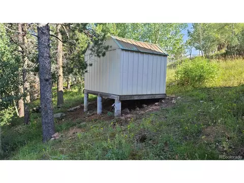 14 Lanier St, Bailey, CO 80421 photo 24