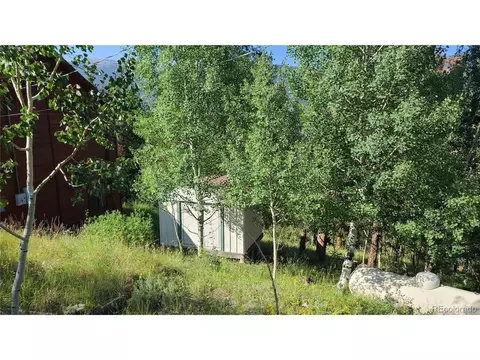 14 Lanier St, Bailey, CO 80421 photo 28