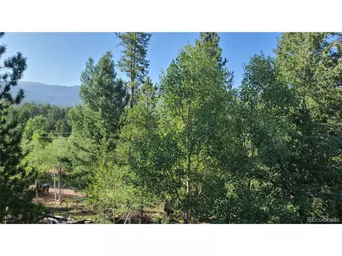 14 Lanier St, Bailey, CO 80421 photo 27