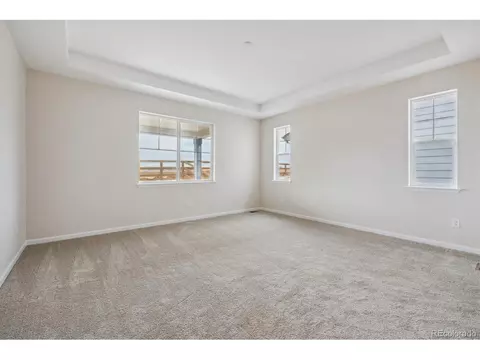 938 Rustling St, Windsor, CO 80550 photo 14
