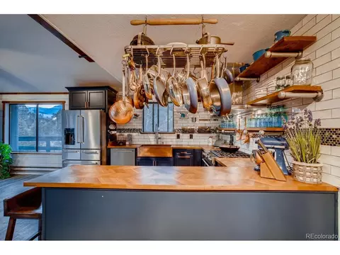 44 Bandit Ln, Bailey, CO 80421 photo 5