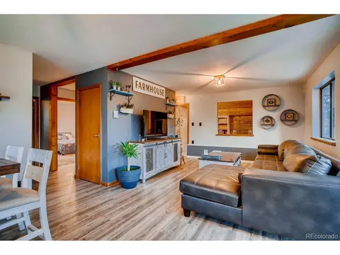 44 Bandit Ln, Bailey, CO 80421 photo 11