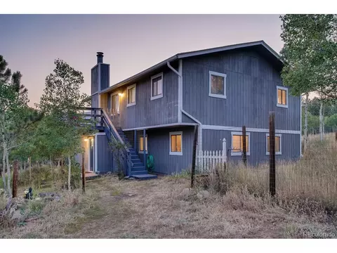 44 Bandit Ln, Bailey, CO 80421 photo 21