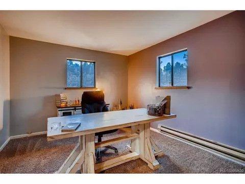 44 Bandit Ln, Bailey, CO 80421 photo 17