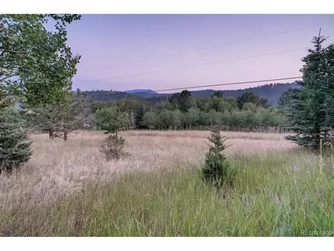 44 Bandit Ln, Bailey, CO 80421 photo 27