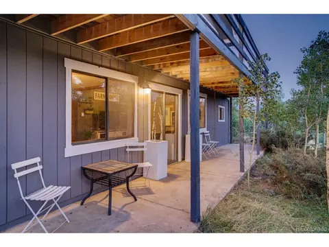 44 Bandit Ln, Bailey, CO 80421 photo 24