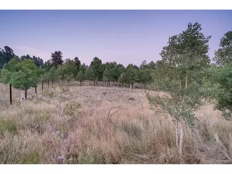 44 Bandit Ln, Bailey, CO 80421 photo 25