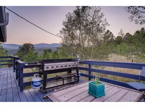 44 Bandit Ln, Bailey, CO 80421 photo 9