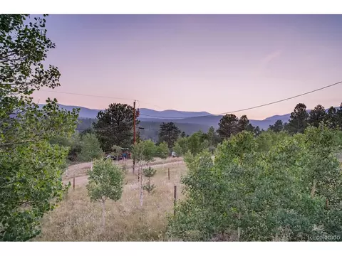 44 Bandit Ln, Bailey, CO 80421 photo 26
