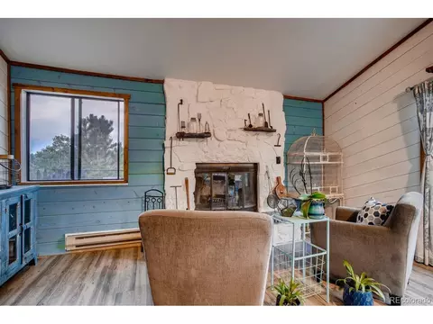 44 Bandit Ln, Bailey, CO 80421 photo 18
