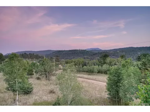 44 Bandit Ln, Bailey, CO 80421 photo 23