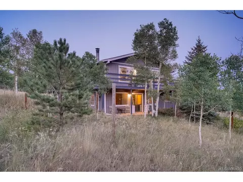 44 Bandit Ln, Bailey, CO 80421 photo 20