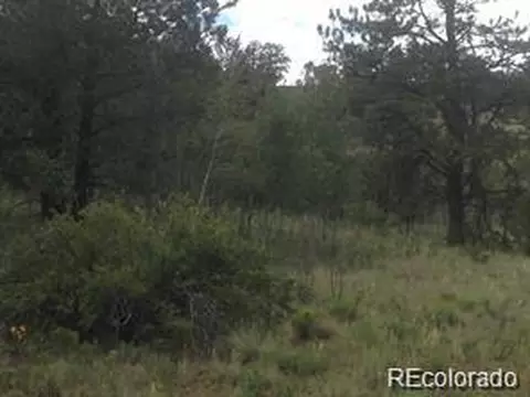 1681 Athapascan Rd, Hartsel, CO 80449