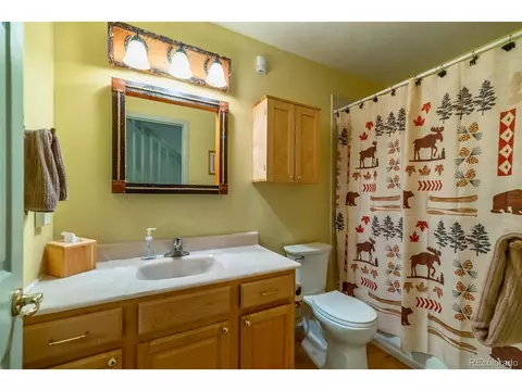 917 Teton Trl, Como, CO 80432 photo 19