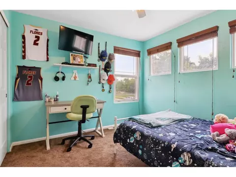 20246 E College Pl, Aurora, CO 80013 photo 32