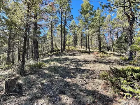 6168 Hoadley Rd, Fort Garland, CO 81133 photo 6