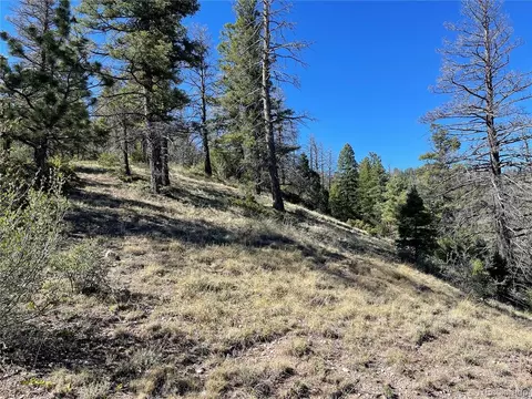 6168 Hoadley Rd, Fort Garland, CO 81133 photo 10