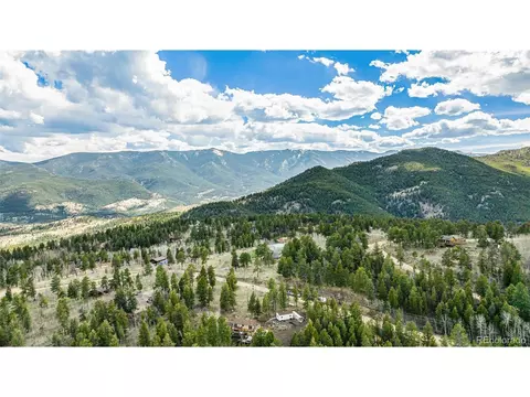156 Deerhaven Dr, Bailey, CO 80421 photo 2