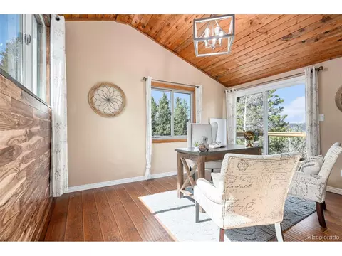 156 Deerhaven Dr, Bailey, CO 80421 photo 19